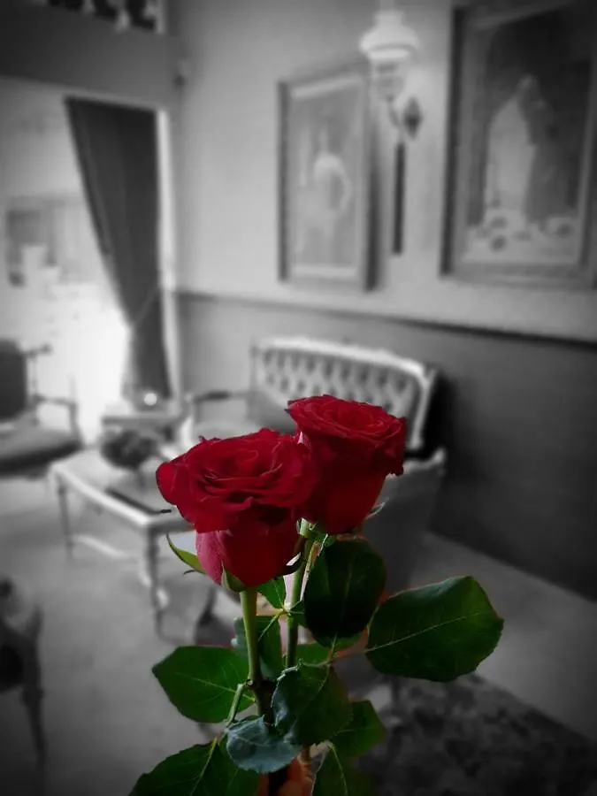 Elysion Hotel İstanbul Türkiye